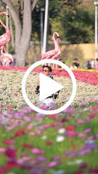 BIB:  <button type="button" onclick="openModal(27588518)" class="btn btn-primary btn-sm float-right" data-toggle="modal" data-target=".modal-high-quality">
                <i class="fa fa-download"></i> Download
                </button>